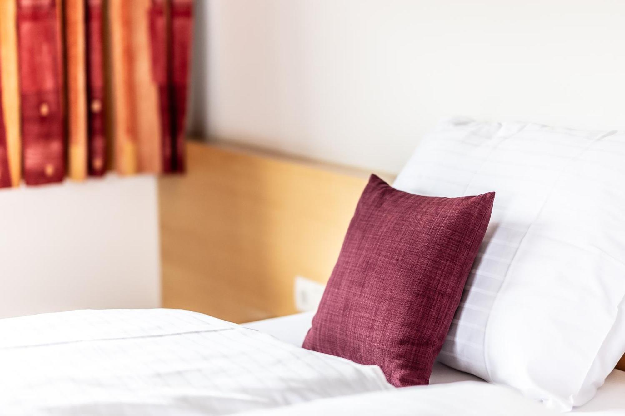 Hotel Loewen 林格瑙 外观 照片